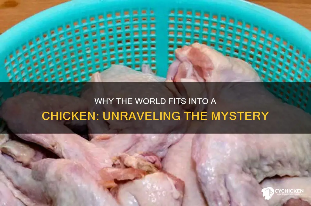 why does the world fit into a chicken