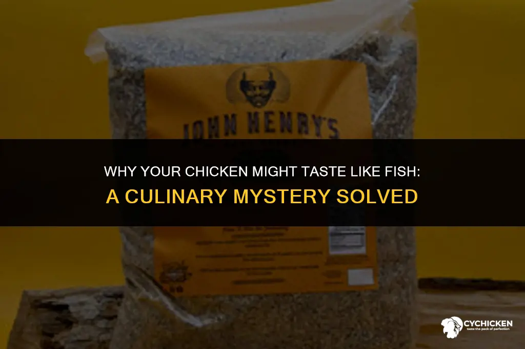 why does this chicken taste like fish