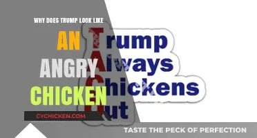 Why Trump's Appearance Reminds Some of an Angry Chicken