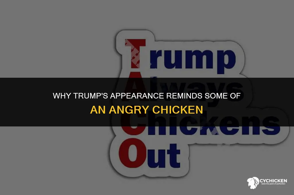 why does trump look like an angry chicken