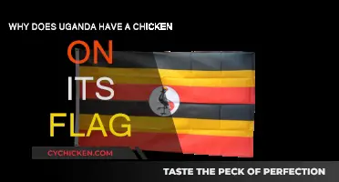 Uganda's Flag: Why the Chicken Symbol?