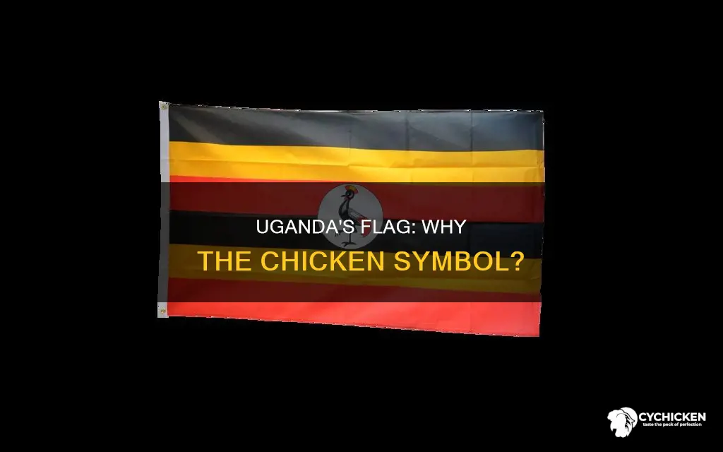 why does uganda have a chicken on its flag