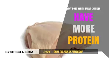 Why White Meat Chicken Offers Higher Protein Than Dark Meat