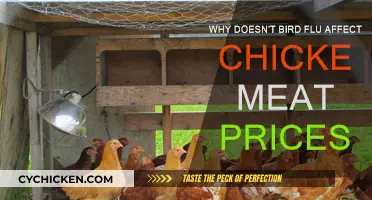 Bird Flu: Why Chicken Meat Prices Stay Unaffected