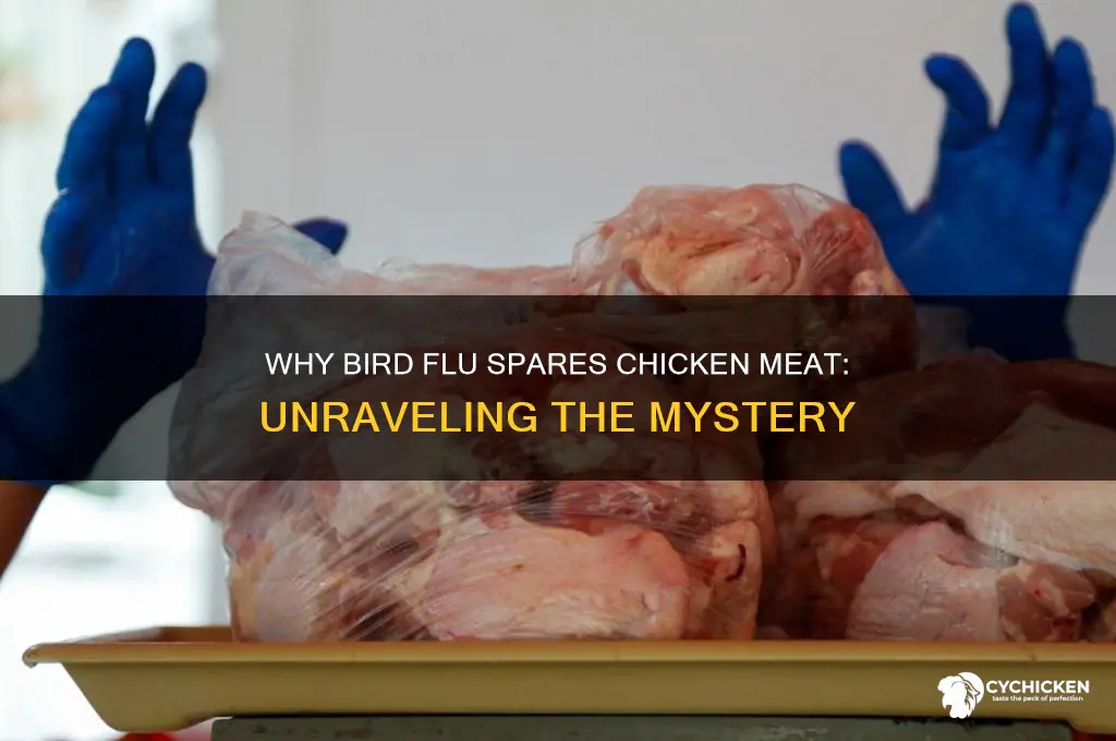 why doesn
