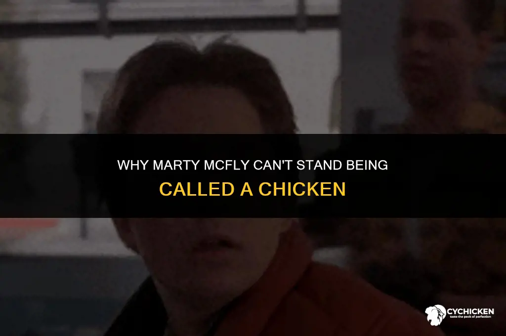 why doesnt marty mcfly like to be called a chicken