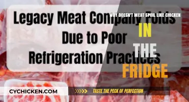 Why Does Meat Spoil Differently Than Chicken in the Fridge?