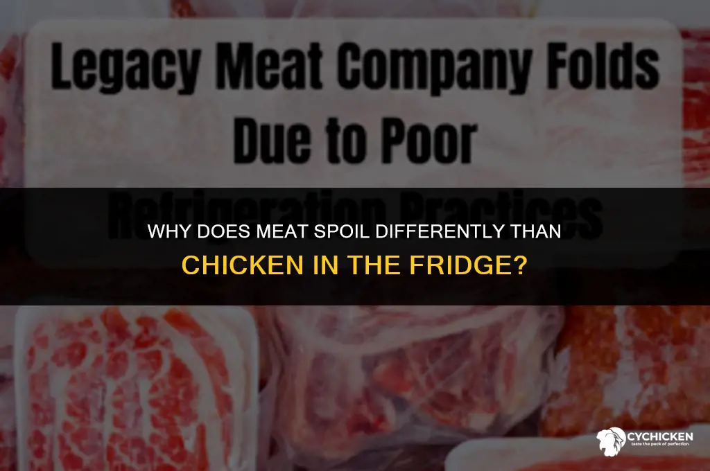 why doesn