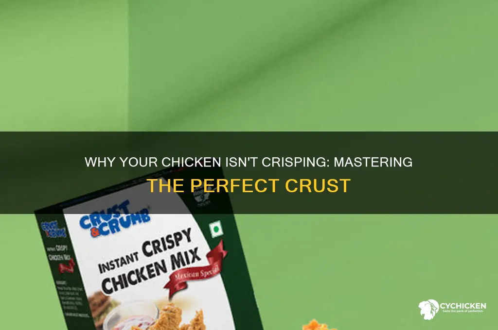 why doesnt my chicken form a nice crust