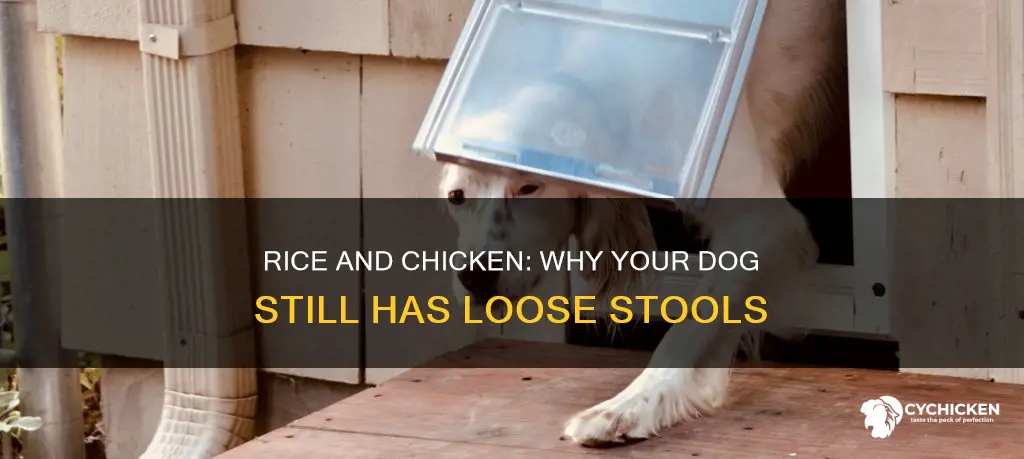 why doesn