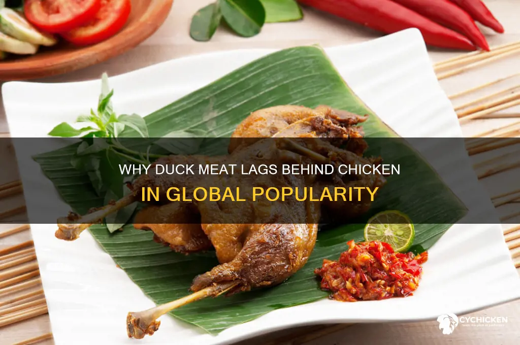 why duck meat is not popular as chicken