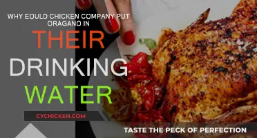 Herbal Chicken: Oregano in Water, Why?