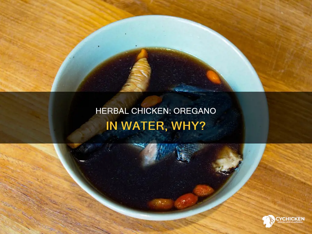 why eould chicken company put oragano in their drinking water