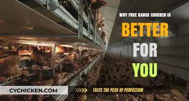 Healthier, Happier Chickens: Why Free Range is the Better Choice