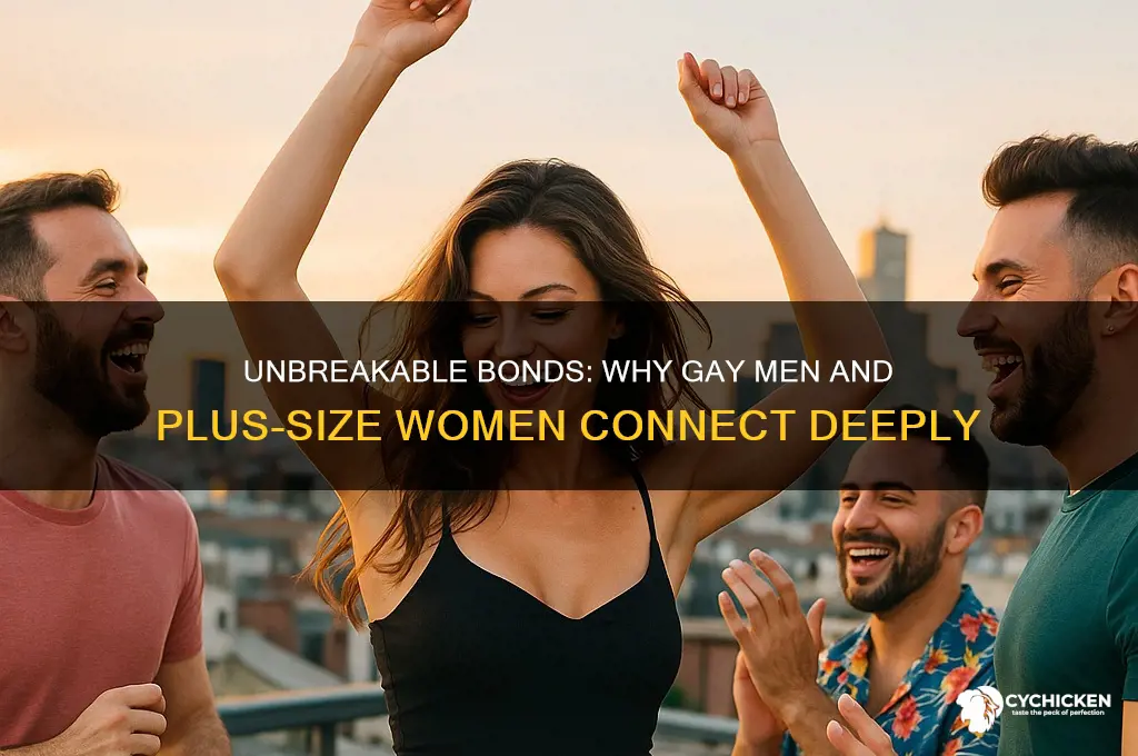 why gay guys hang out with fat chicks