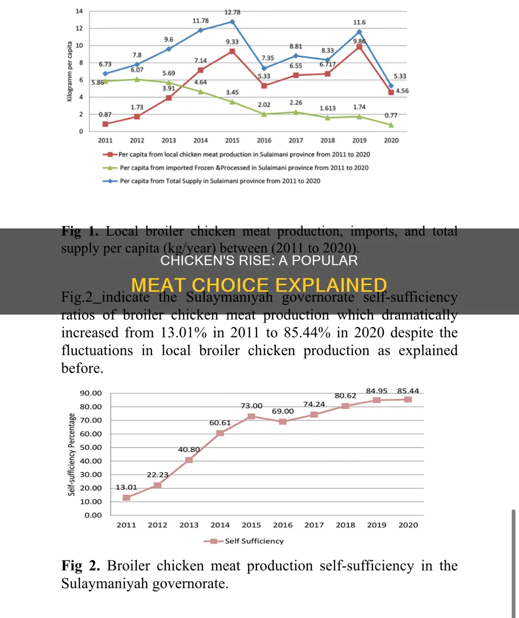 why has chicken become a popular choice of meat
