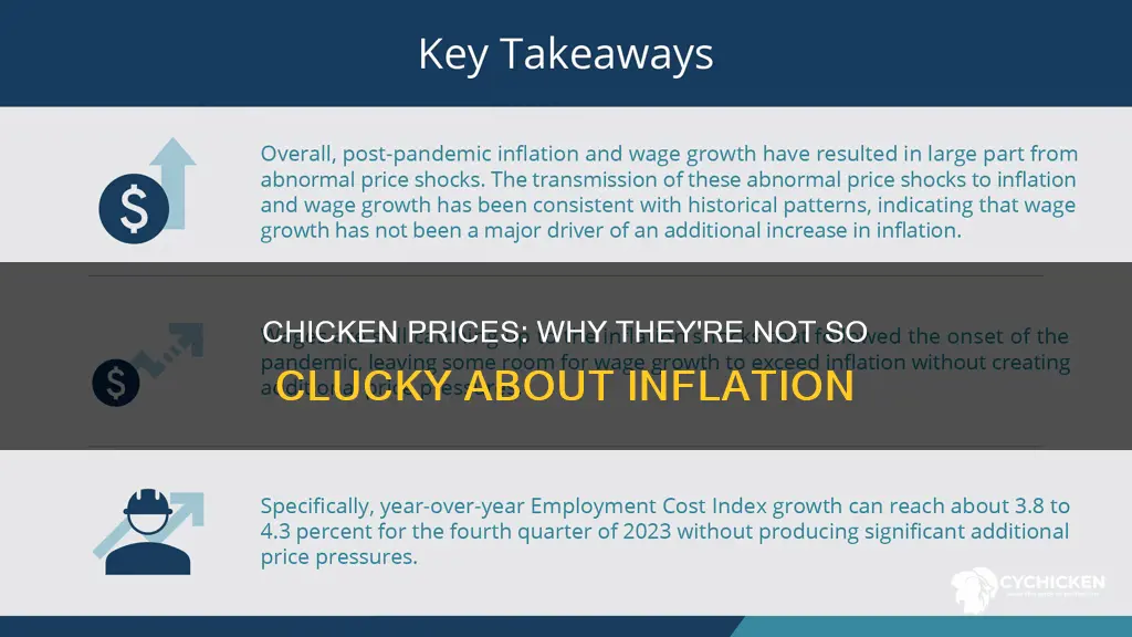 why has the price of chicken not gone up