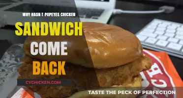 Why Popeyes Chicken Sandwich Disappeared: The Comeback Mystery Explained
