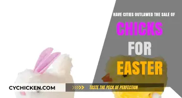Why Cities Outlaw Easter Chick Sales: A Closer Look