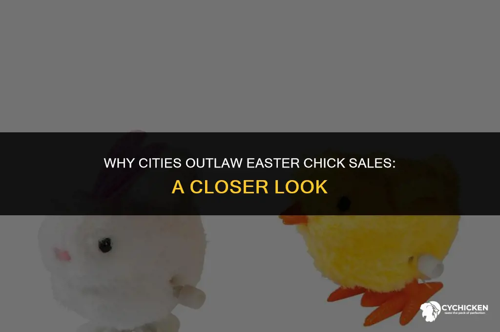 why have cities outlawed the sale of chicks for easter