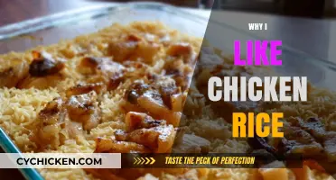 Savoring Simplicity: My Love Affair with Chicken Rice