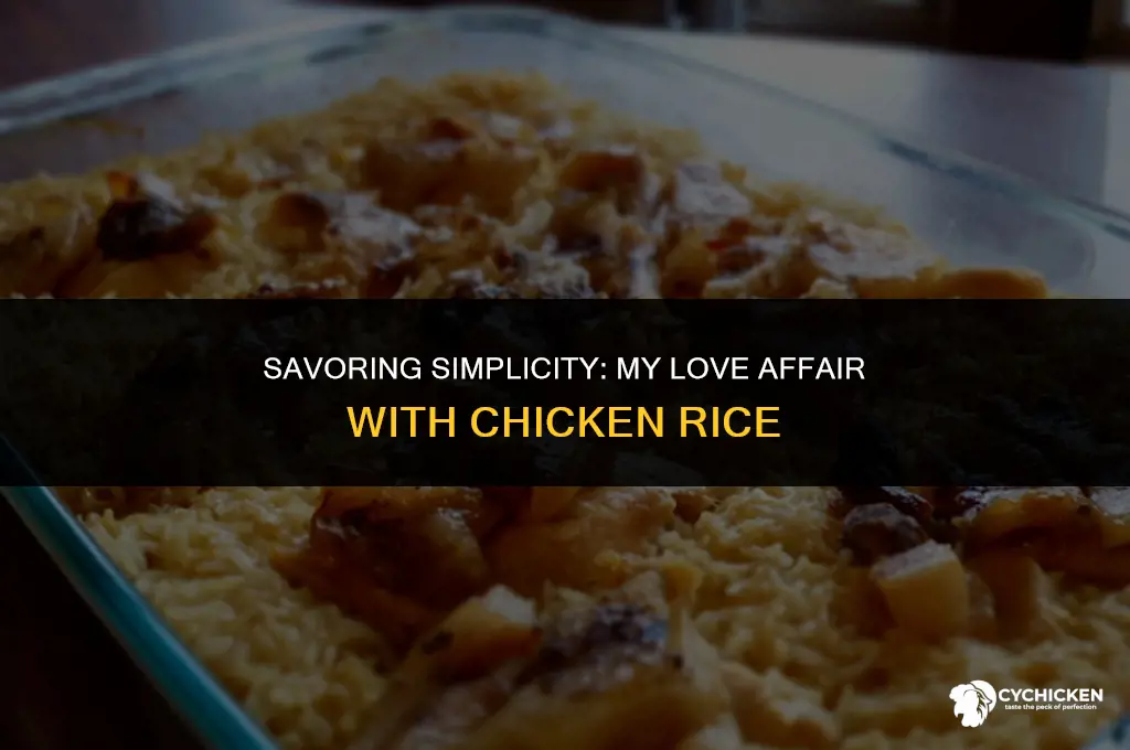 why i like chicken rice