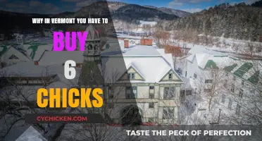 Vermont's Chick Law: Why You Must Buy Six Chicks