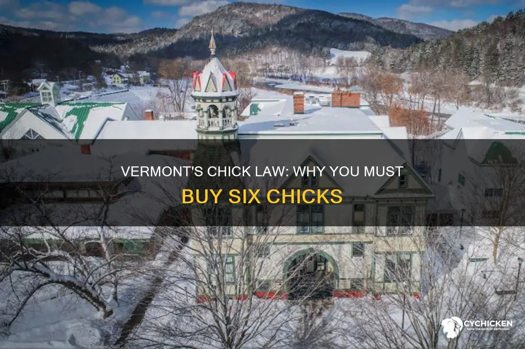 why in vermont you have to buy 6 chicks