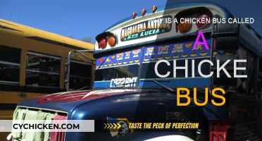 Chicken Buses: Colorful Vehicles, Colorful Name