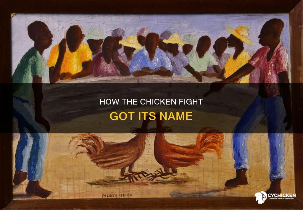 why is a chicken fight called a chicken fight