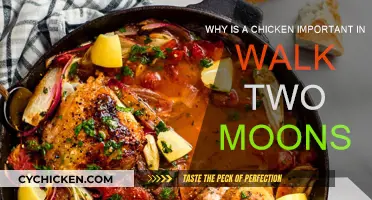 The Chicken's Role in Walk Two Moons Explained