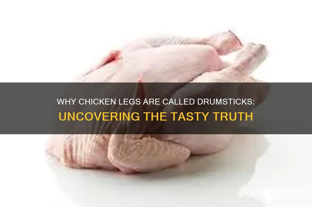 why is a chicken leg called a drumstick