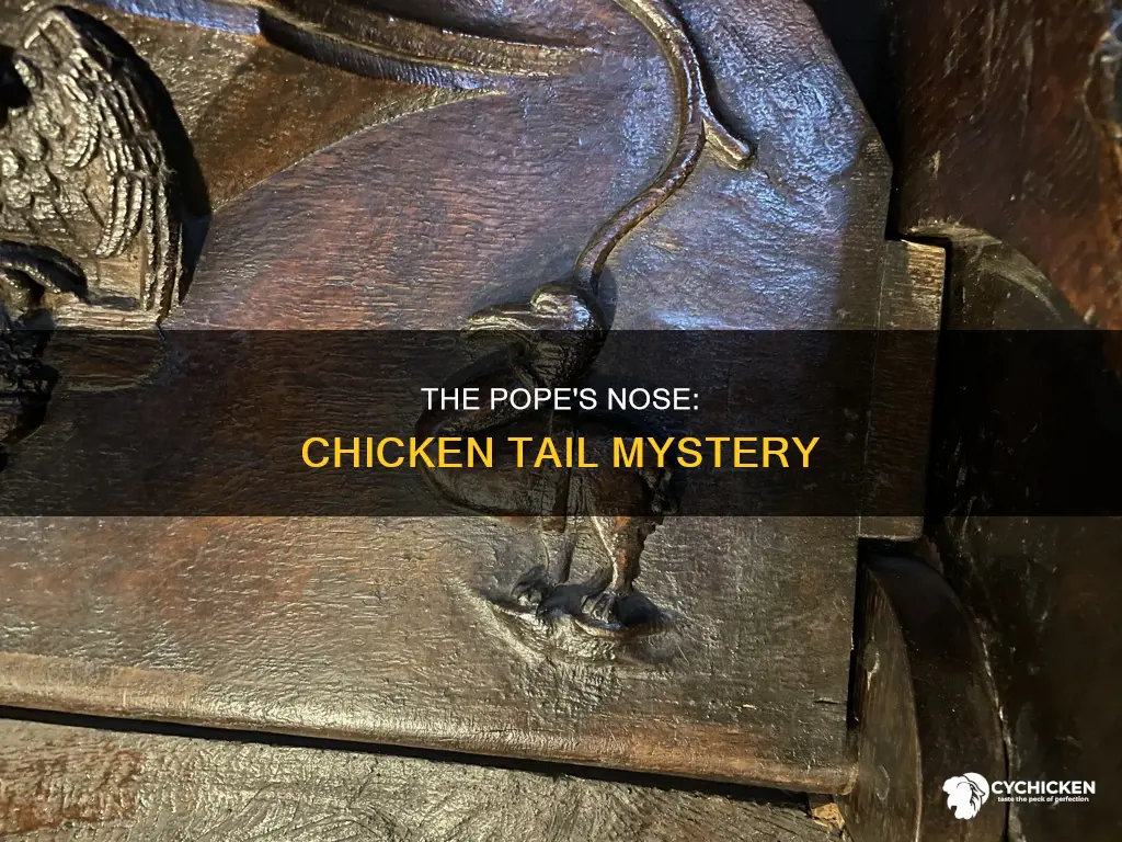 why is a chicken tail called a pope