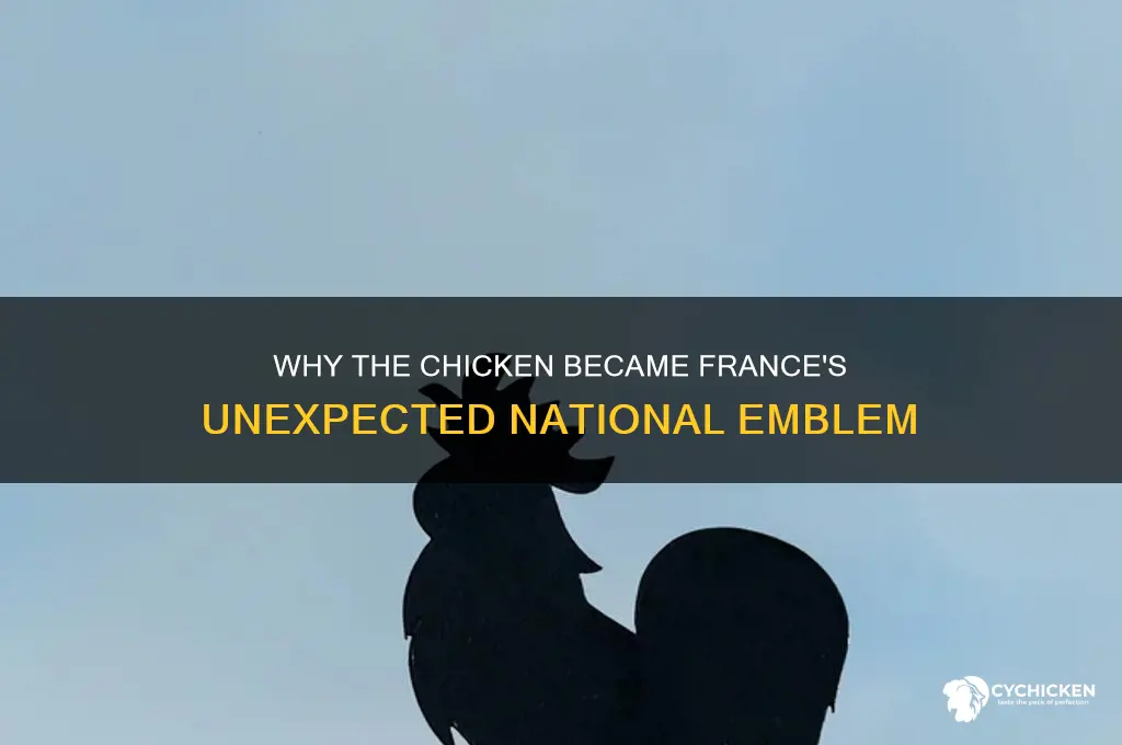 why is a chicken the symbol of france