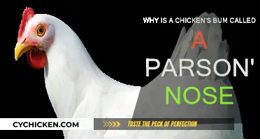 The Chicken's Rear: Why Parson's Nose?