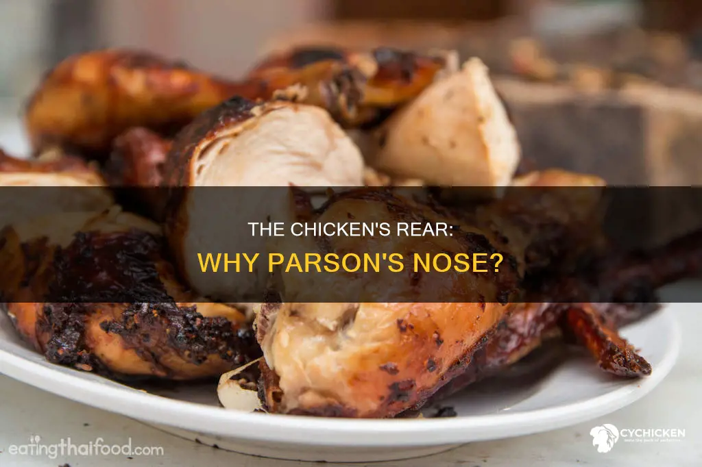 why is a chicken