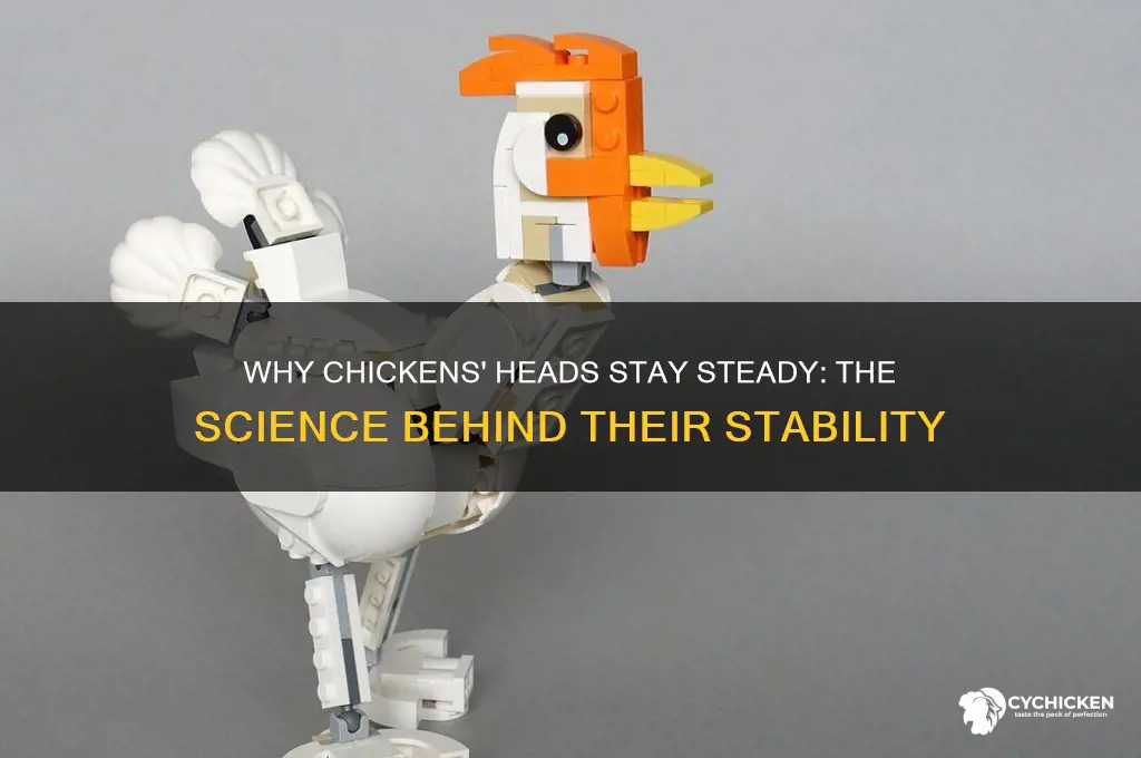 why is a chicken