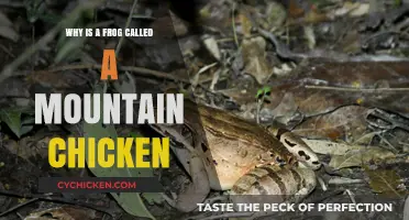 Why the Frog Earned the Nickname 'Mountain Chicken': Unveiling the Mystery