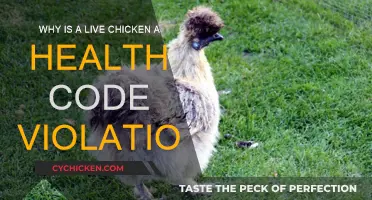 Food Safety: Live Chickens and Health Code Violations