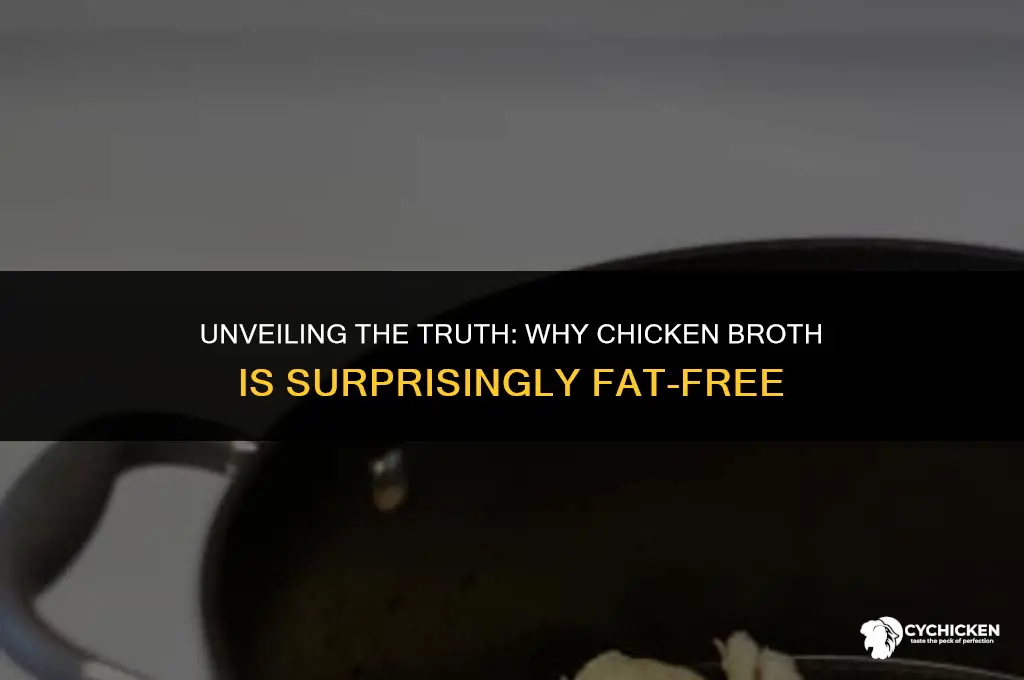 why is all chicken broth fat free