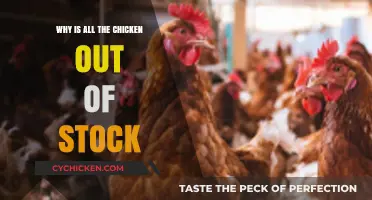 Why Are Chicken Supplies Running Low? Exploring the Causes