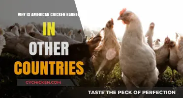 Why Many Countries Ban American Chicken: Health and Safety Concerns