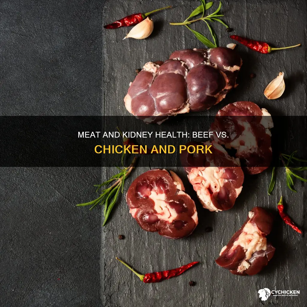 why is beef harder on kidneys than chicken or pork