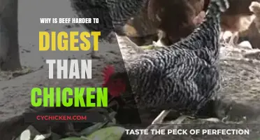 Why Beef Takes Longer to Digest Than Chicken: Exploring the Differences