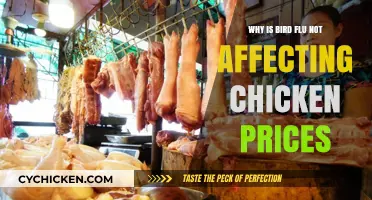 Bird Flu's Impact: Why Chicken Prices Remain Stable Despite Outbreaks