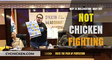 Bullfighting vs. Chicken Fighting: Unraveling the Ethics of Animal Combat