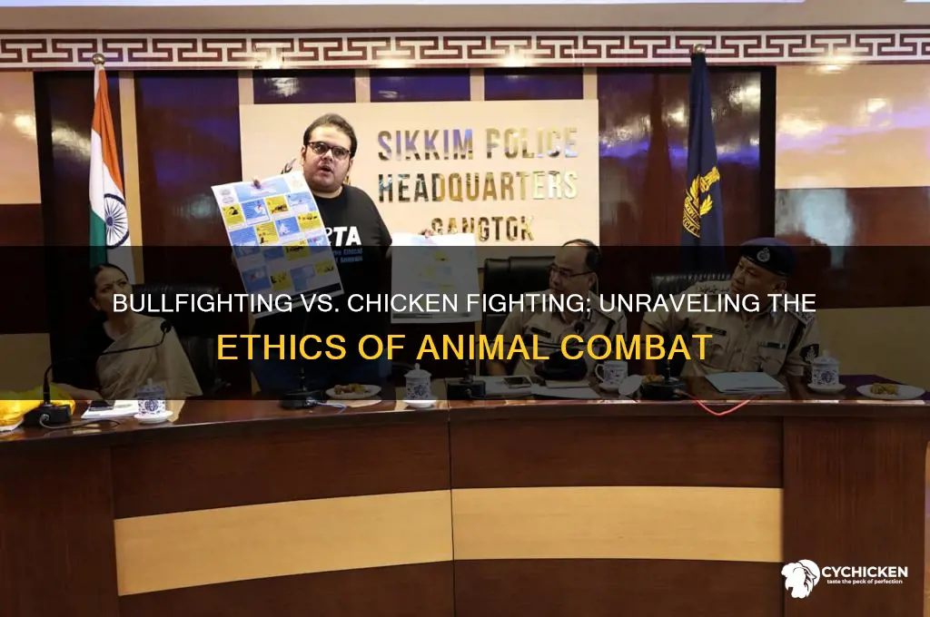 why is bullfghting okay but not chicken fighting