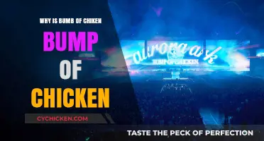 Why 'Bump of Chicken' Rocks: Unraveling the Band's Unique Name