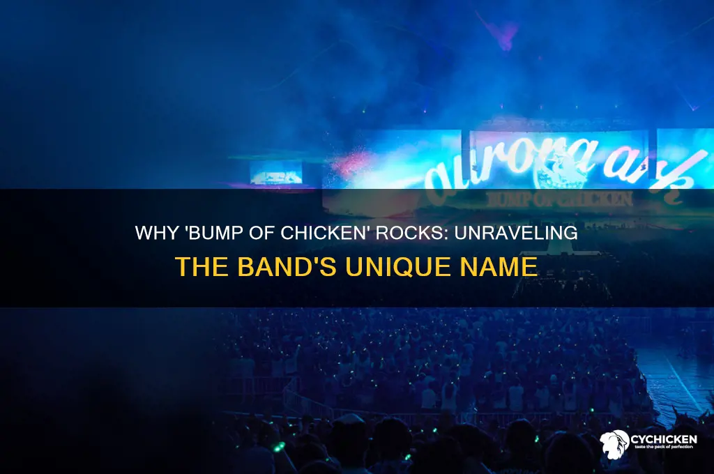 why is bumb of chiken bump of chicken