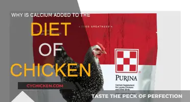 Calcium-Rich Chicken Diet: Why and How?